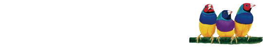 ViewSonic